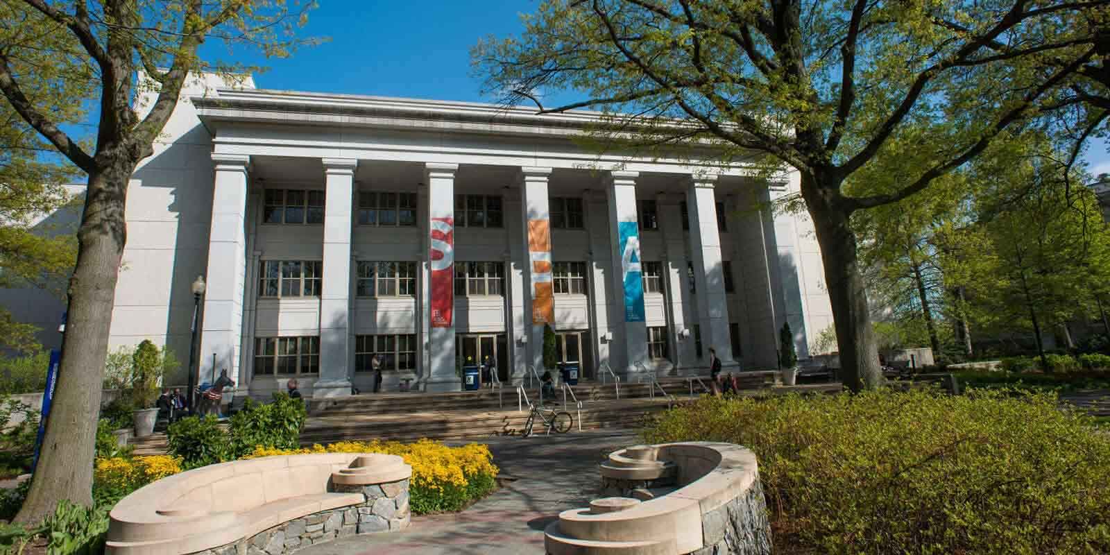 American Collegiate